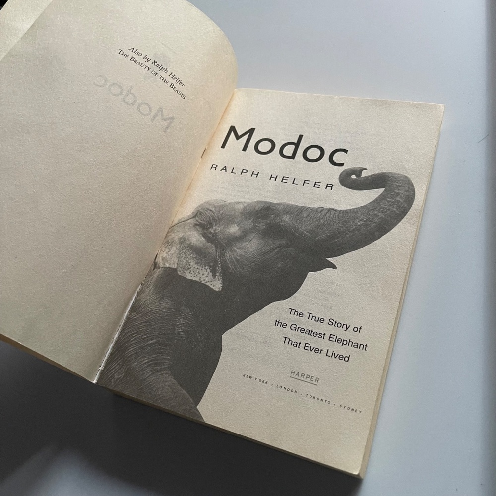 Modoc by Ralph Helfer Book - Picture 4 of 5